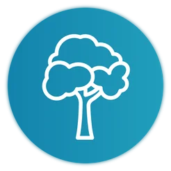 Soziotherapie_Icon_Stabilitaet