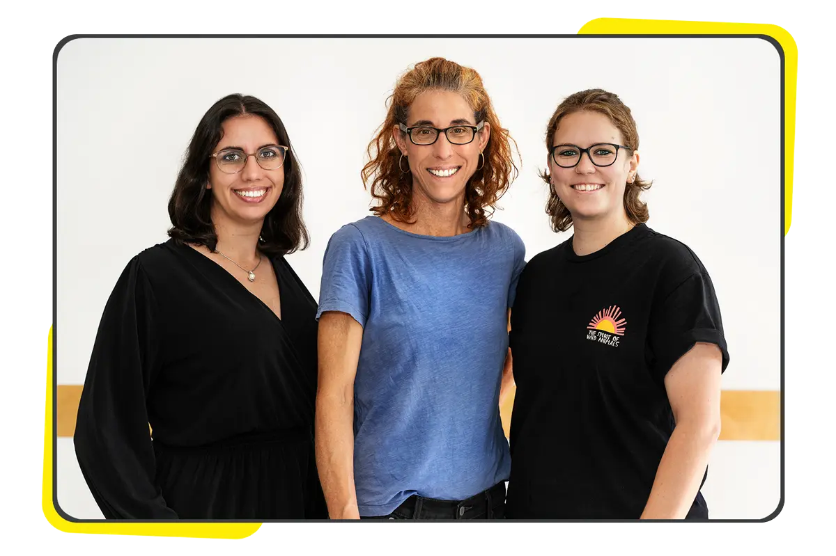 pexels cottonbro-3201694